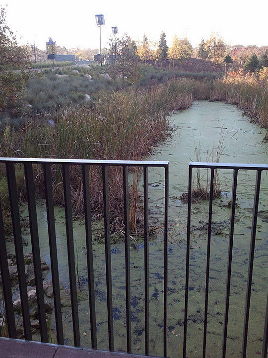 New Entrance October 2011