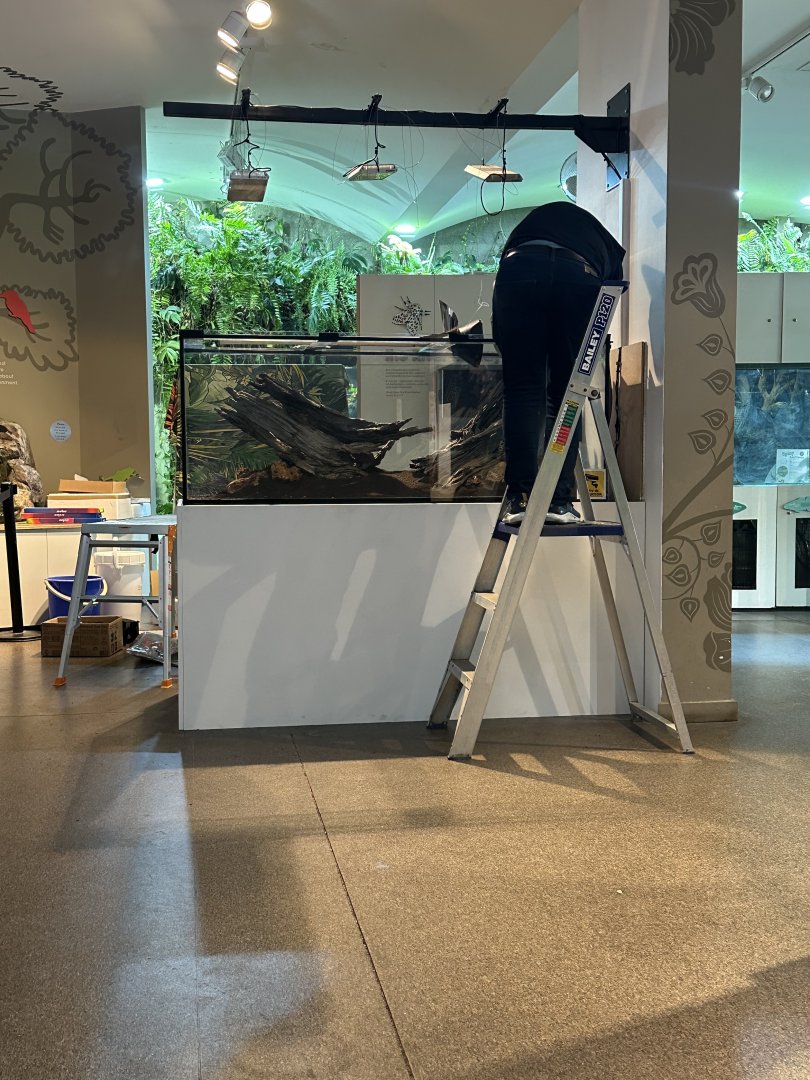 New envirodome exhibit