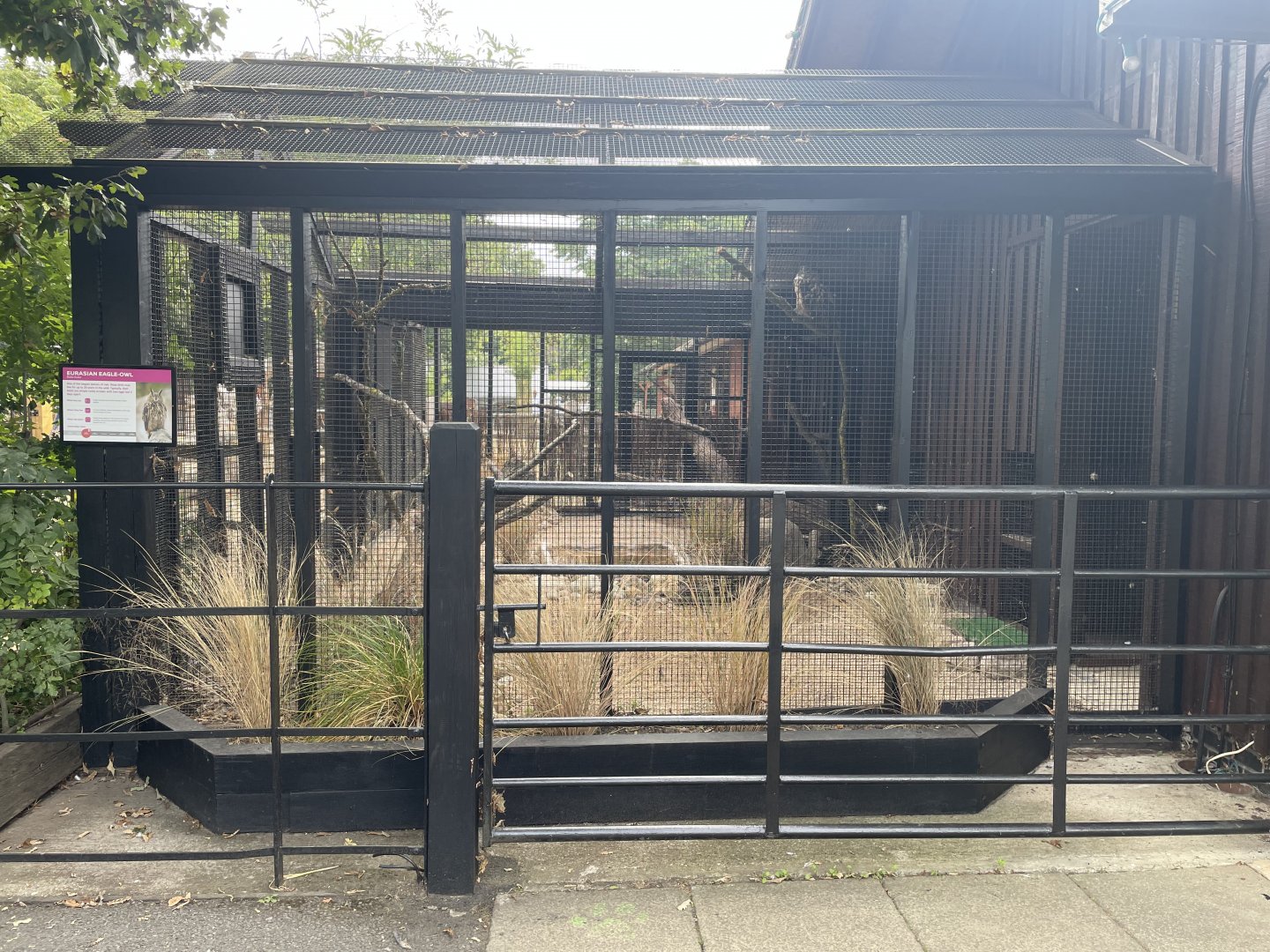 New Eurasian Eagle Owl Enclosure