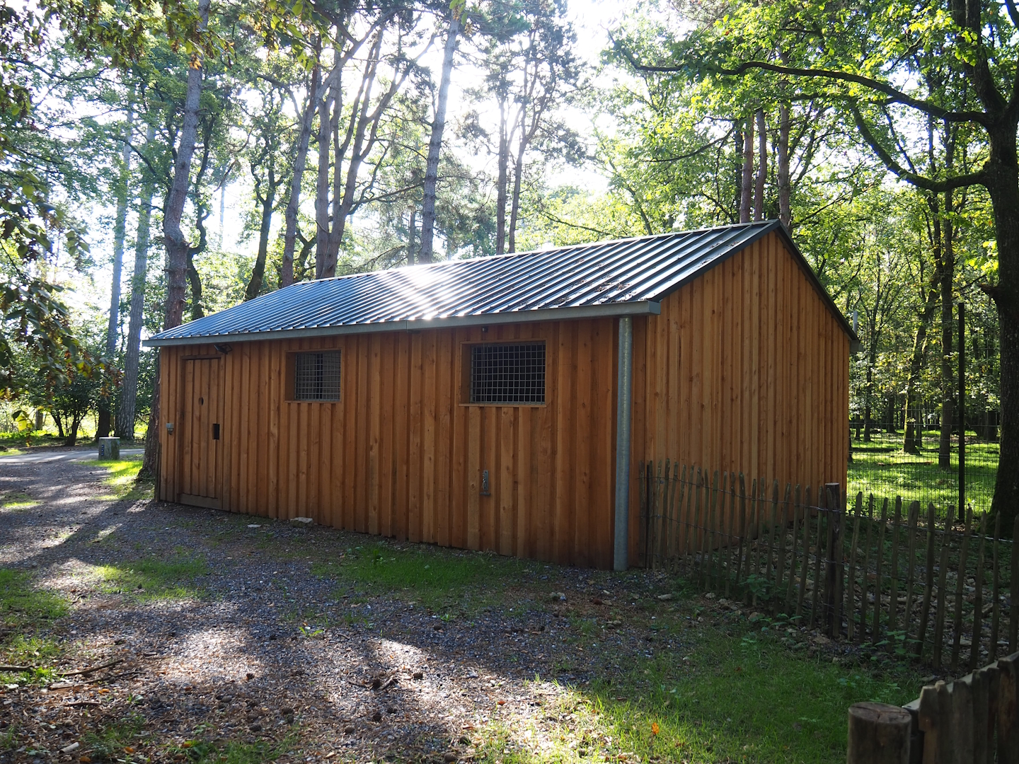 New Eurasian grey wolf holding barn, 2023-09-26