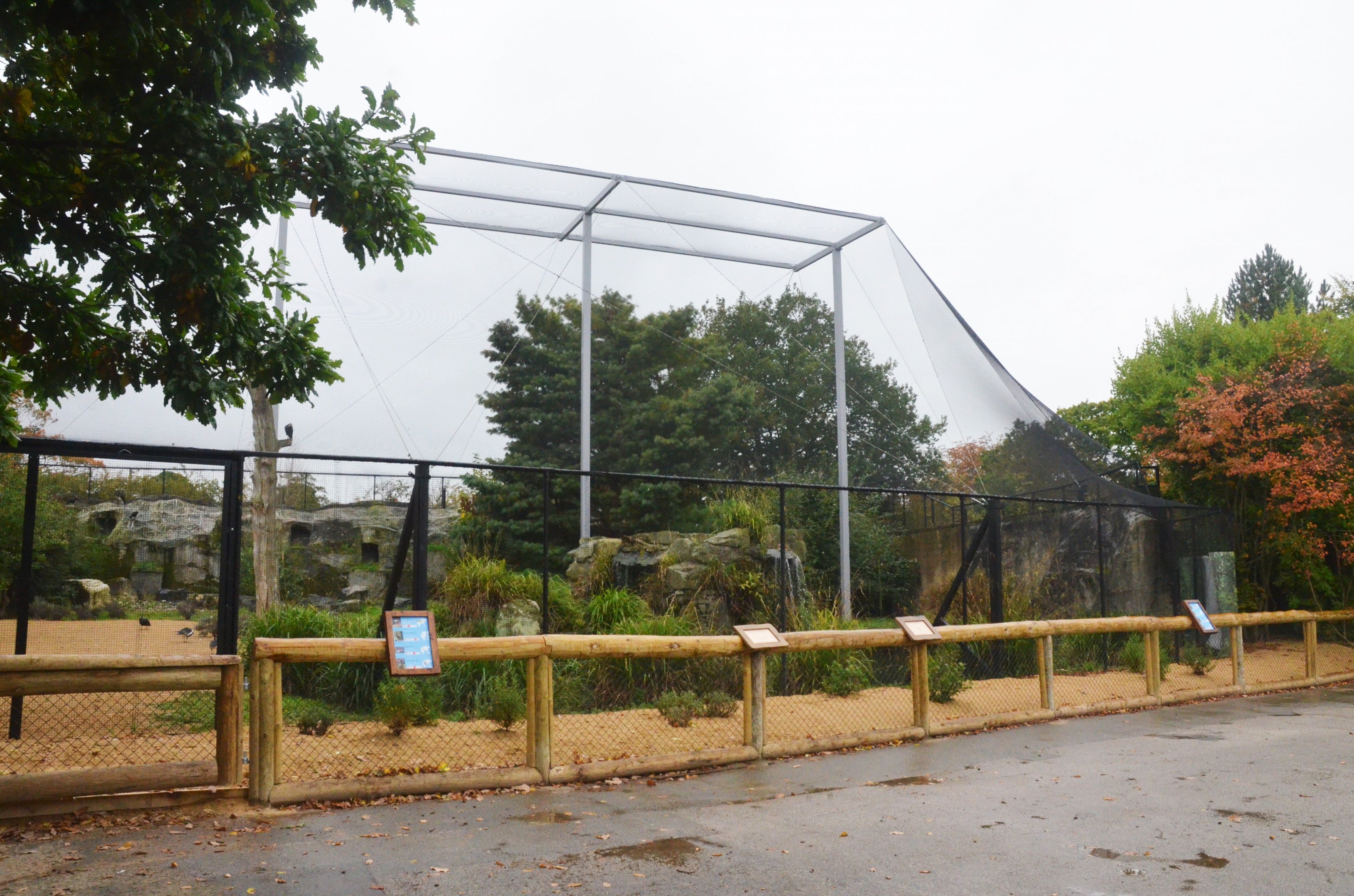 New European Aviary at Chester, 30/09/17