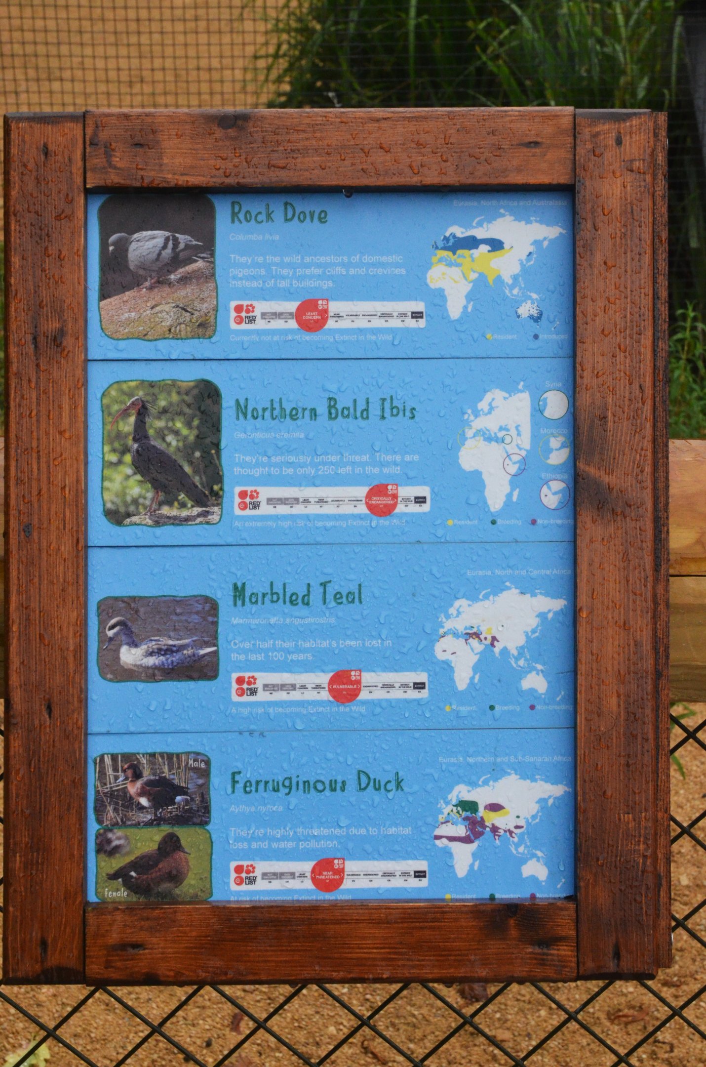 New European Aviary Signage 1 at Chester, 30/09/17