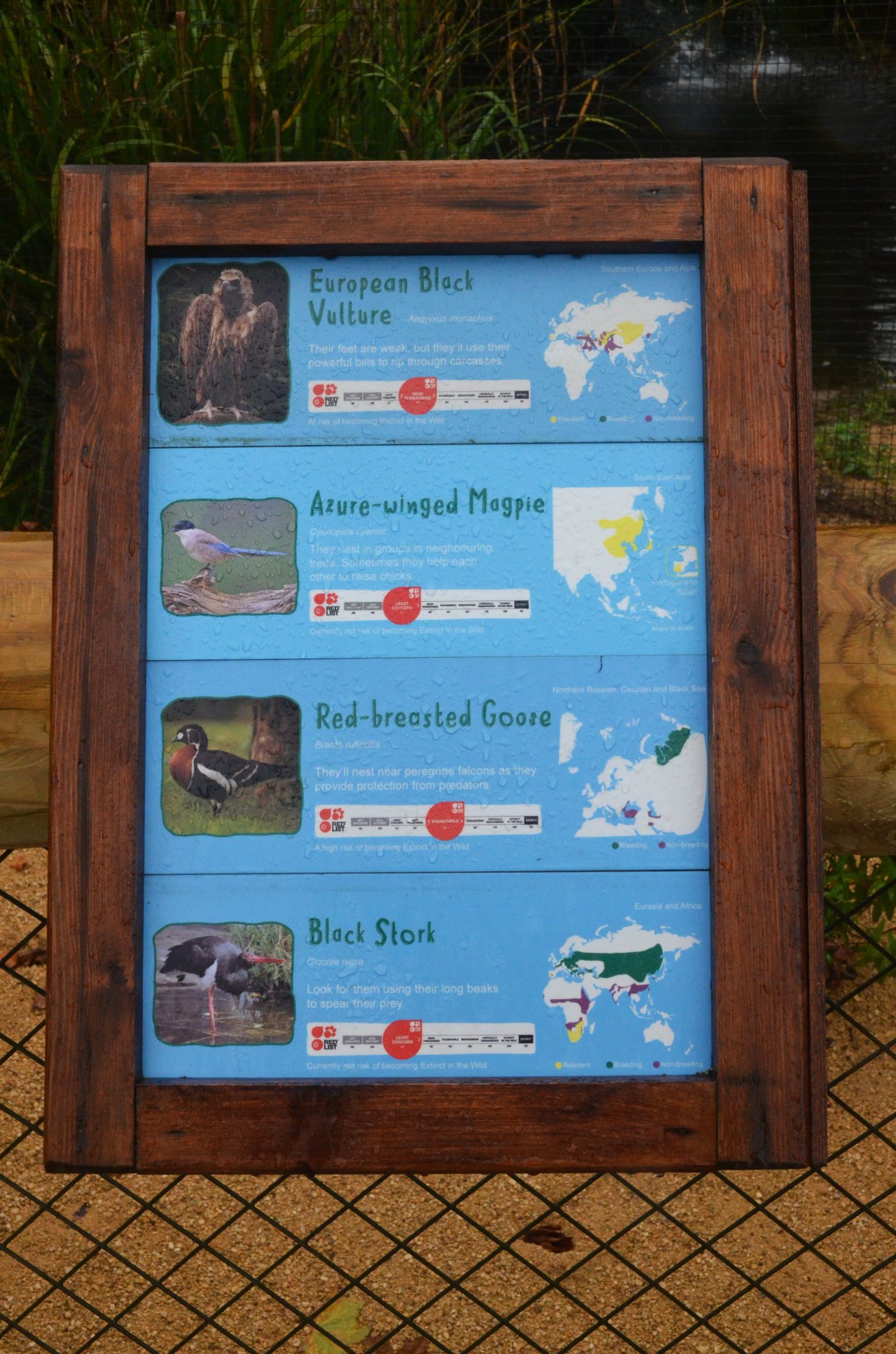 New European Aviary Signage 2 at Chester, 30/09/17