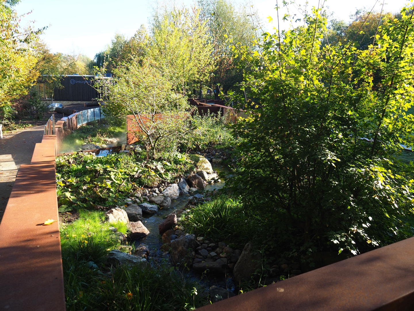 New European mink exhibits - First of three exhibits (Oct 13th, 2018)