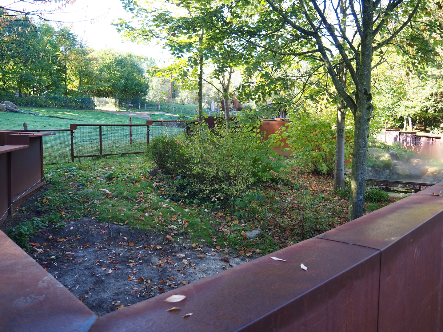 New European mink exhibits - Third of three exhibits (Oct 13th, 2018)