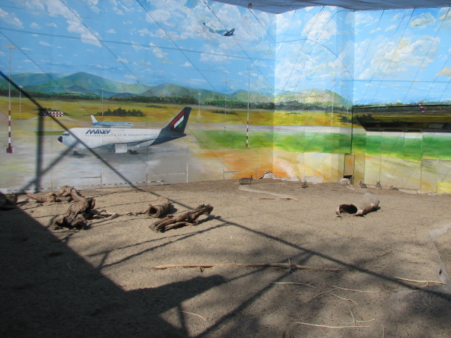 New European rabbit exhibit in the Owl Castle