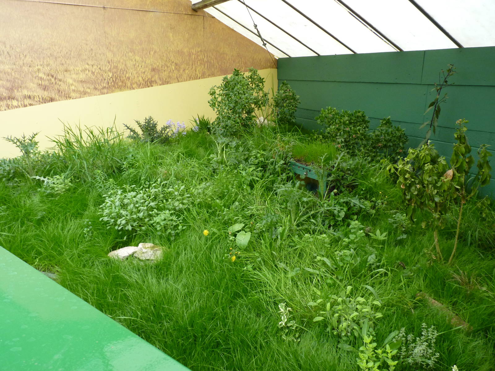 New European Souslik Enclosure