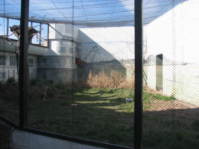 New European souslik exhibit in the Owl Castle