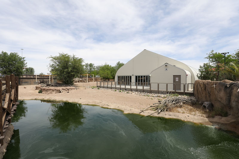 New Event Pavillion (in savanna)