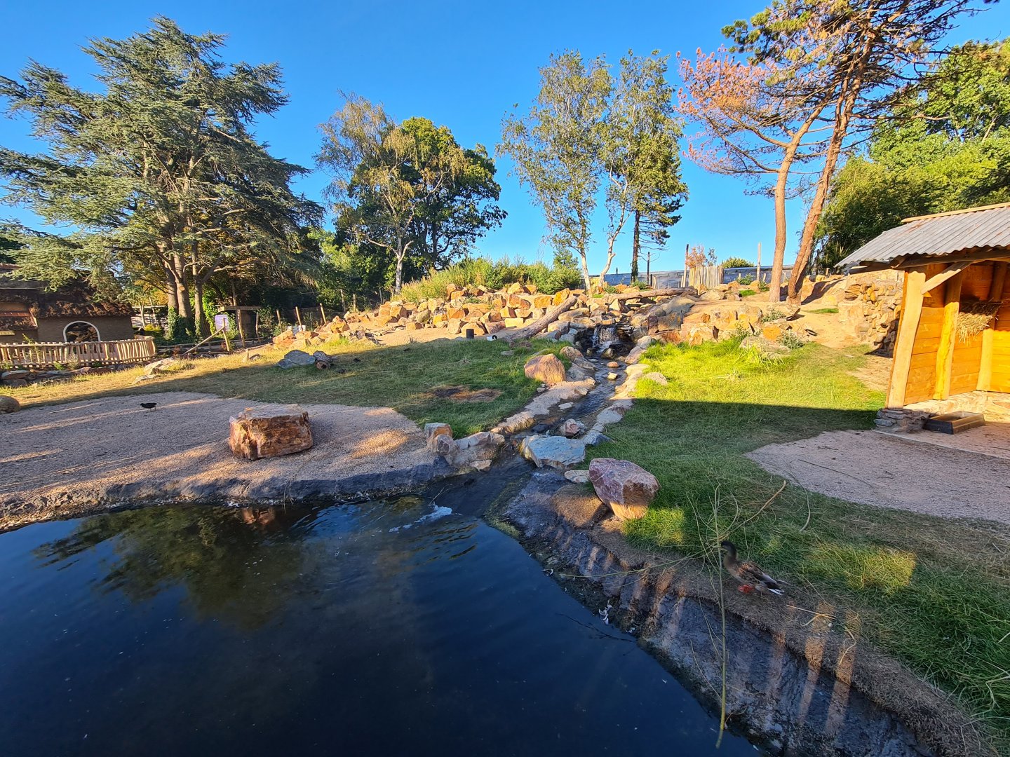 New exhibit: Argentine Cerrado