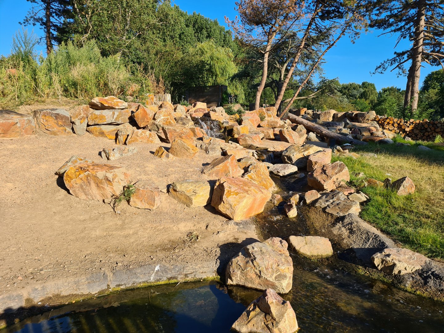 New exhibit: Argentine Cerrado