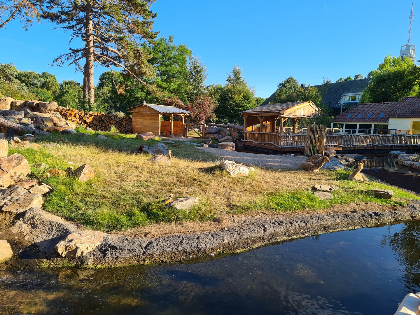 New exhibit: Argentine Cerrado