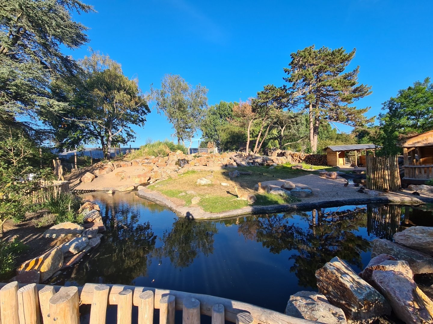 New exhibit: Argentine Cerrado