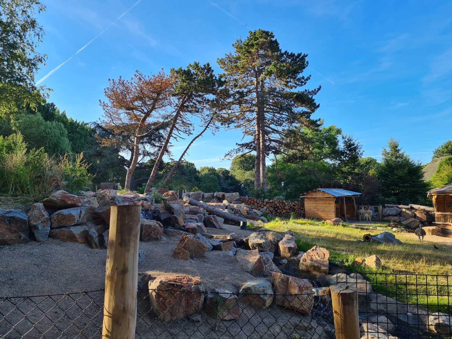 New exhibit: Argentine Cerrado