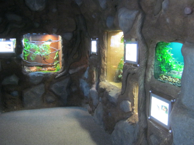 New exhibit "Beastie Burrow"