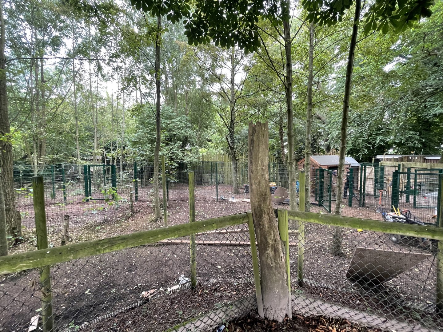 New Exhibit Being Built