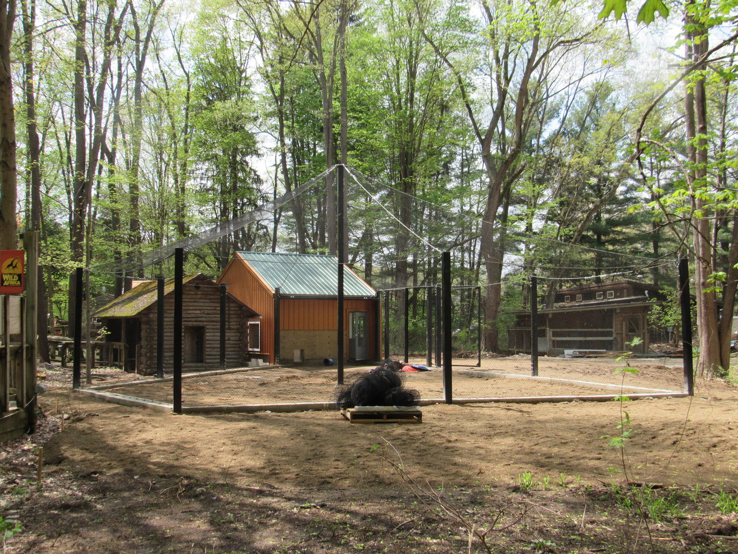 New Exhibit being constructed near the entrance - 5/7/23