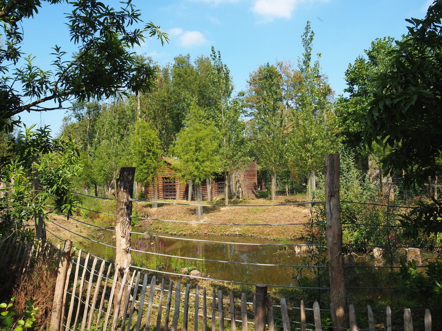 New exhibit between The Last Frontier and the raptor aviaries, 2021-09-02