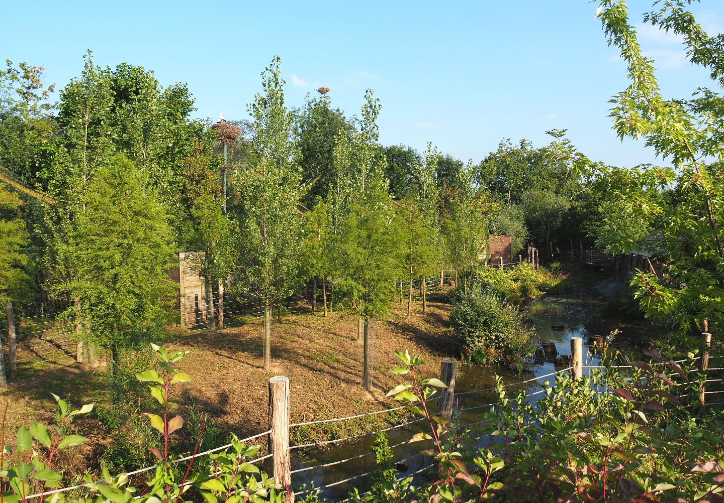 New exhibit between The Last Frontier and the raptor aviaries, 2021-09-02