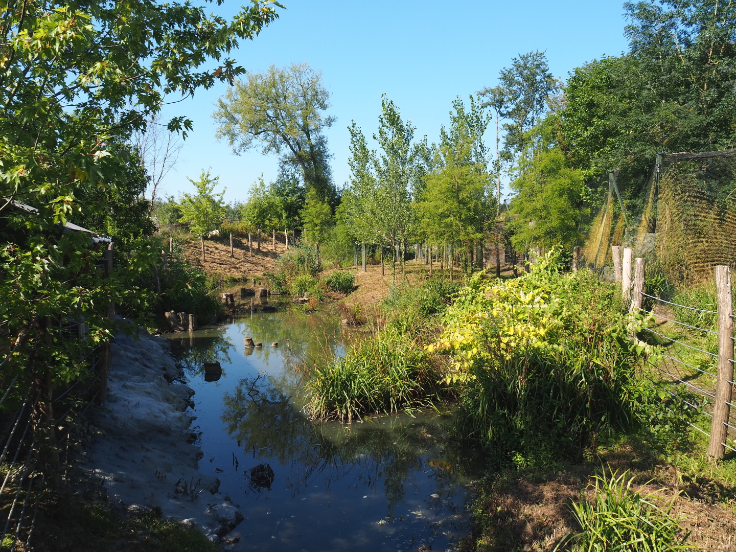 New exhibit between The Last Frontier and the raptor aviaries, 2021-09-03