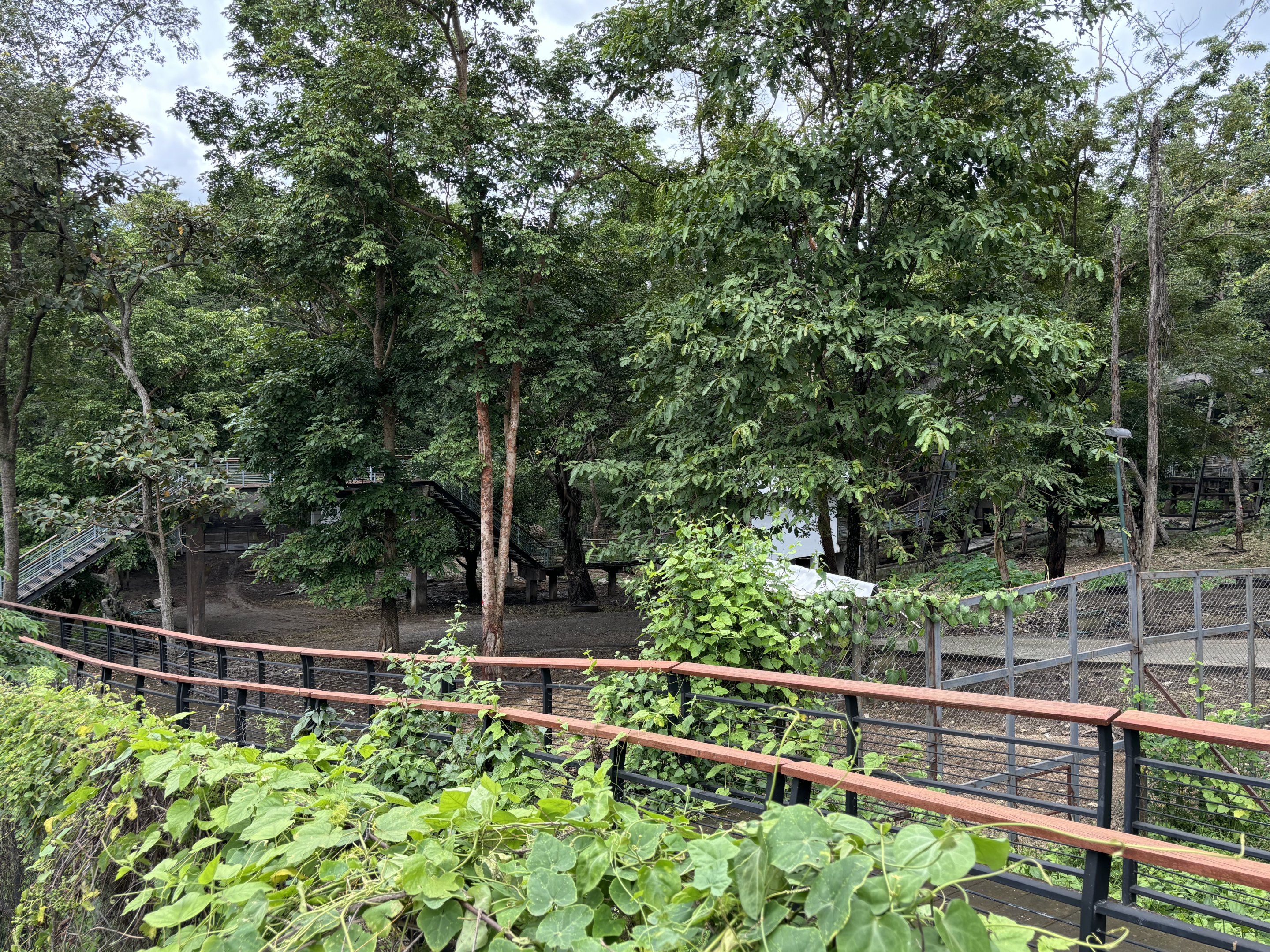 New exhibit complex?