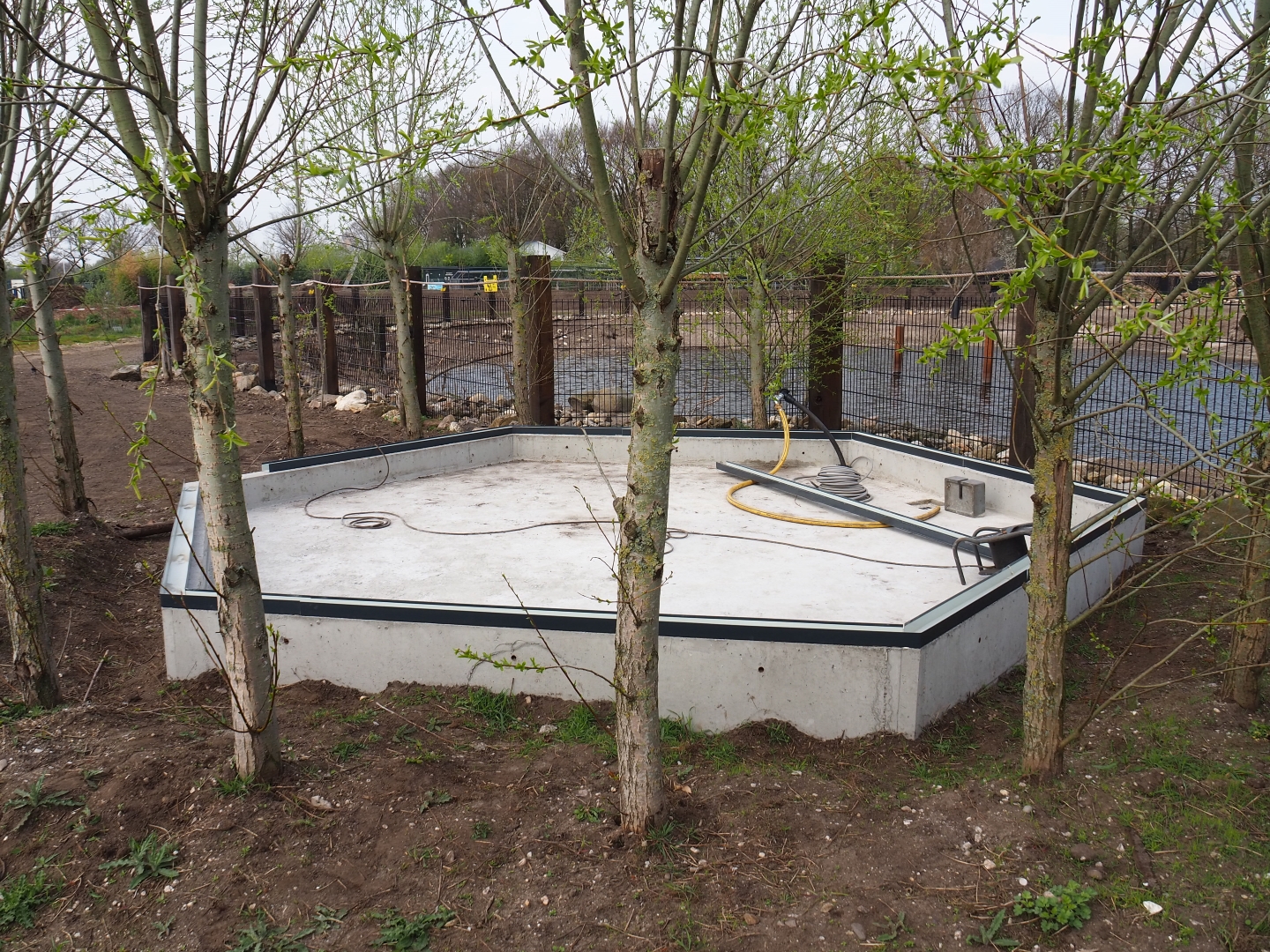 New exhibit construction next to the South American exhibit, 2019-04-06