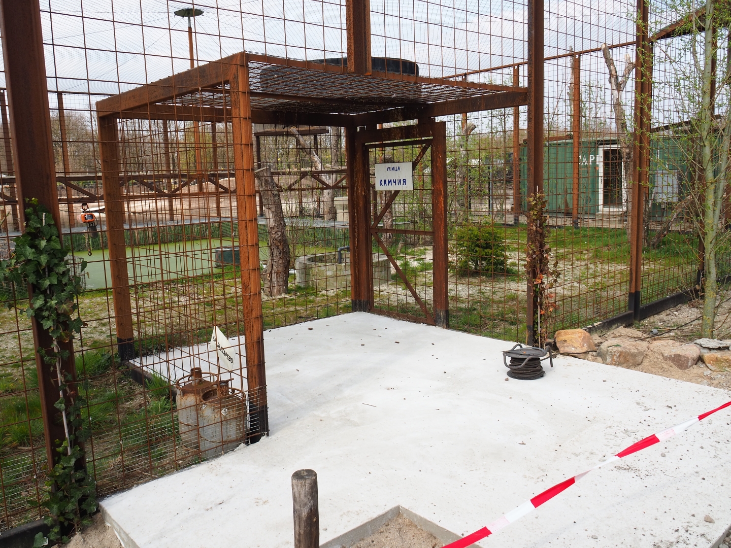 New exhibit construction next to the Steller's sea eagle aviary, 2019-04-06