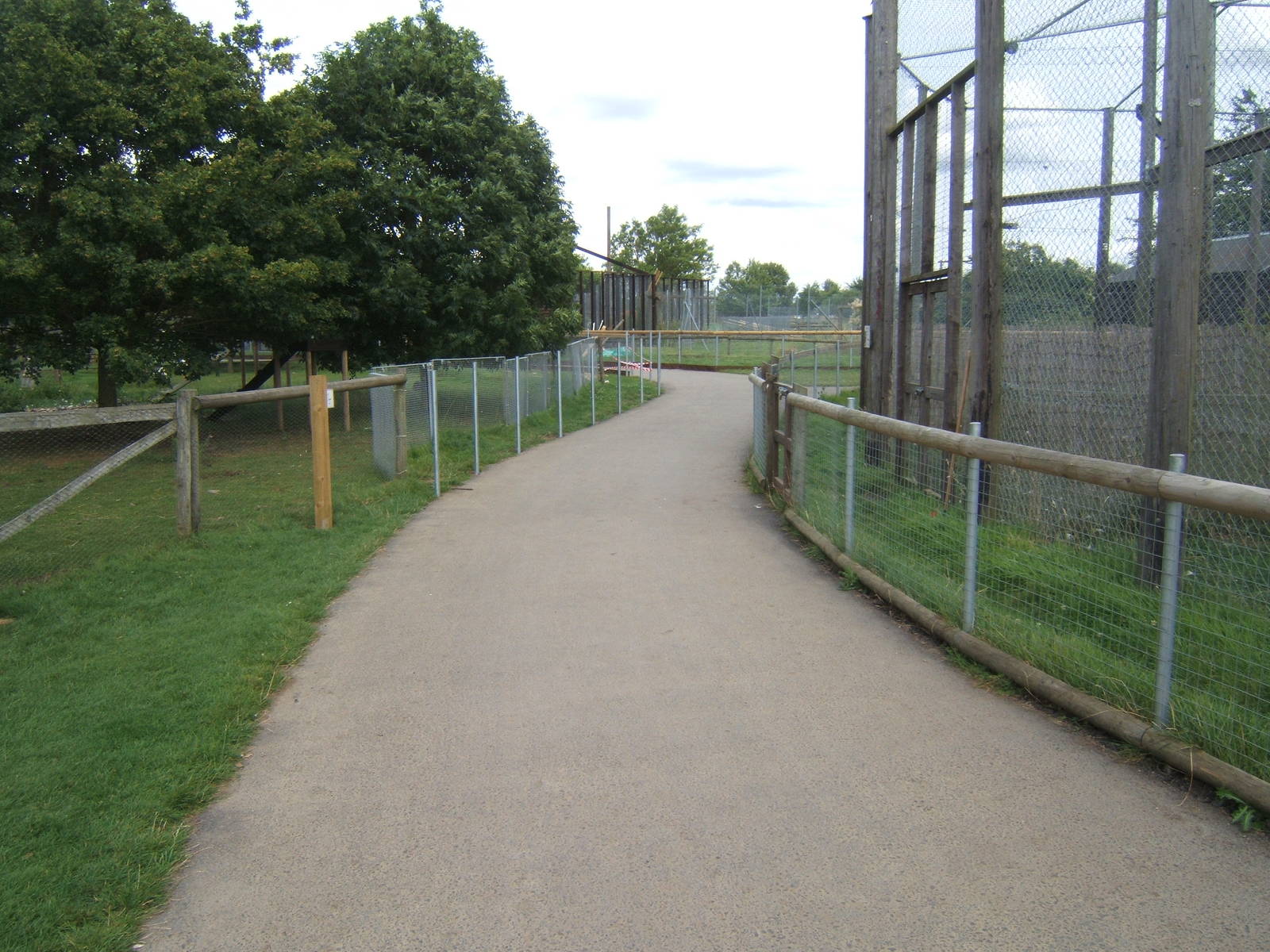 New exhibit construction work