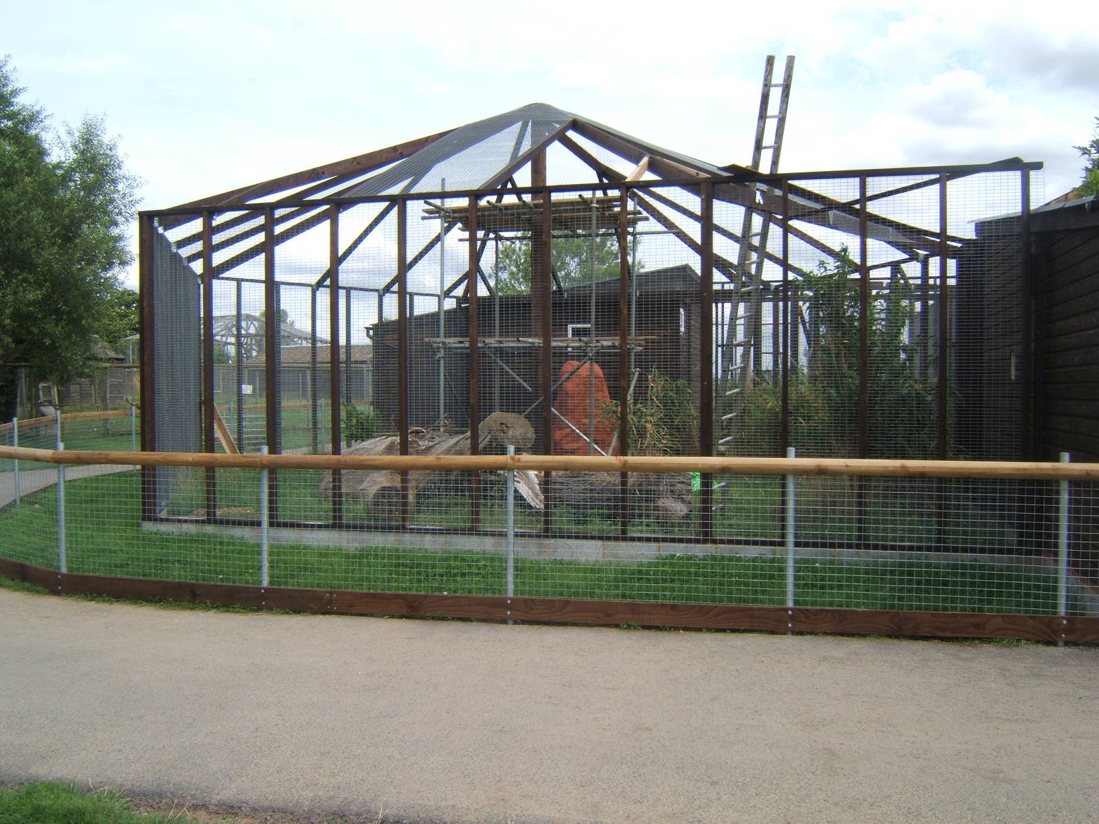 New exhibit construction work