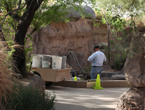 new exhibit construction