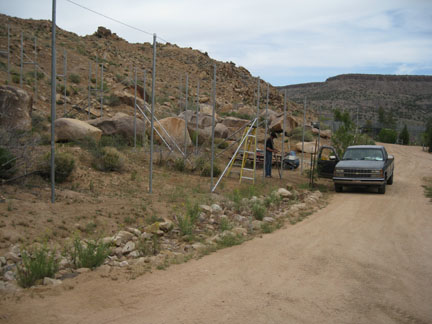 new exhibit construction