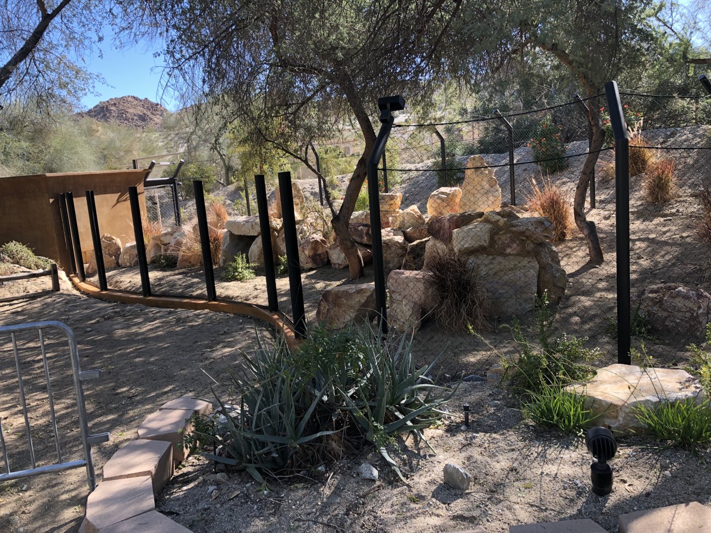 New exhibit construction