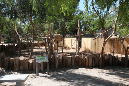 new exhibit construction