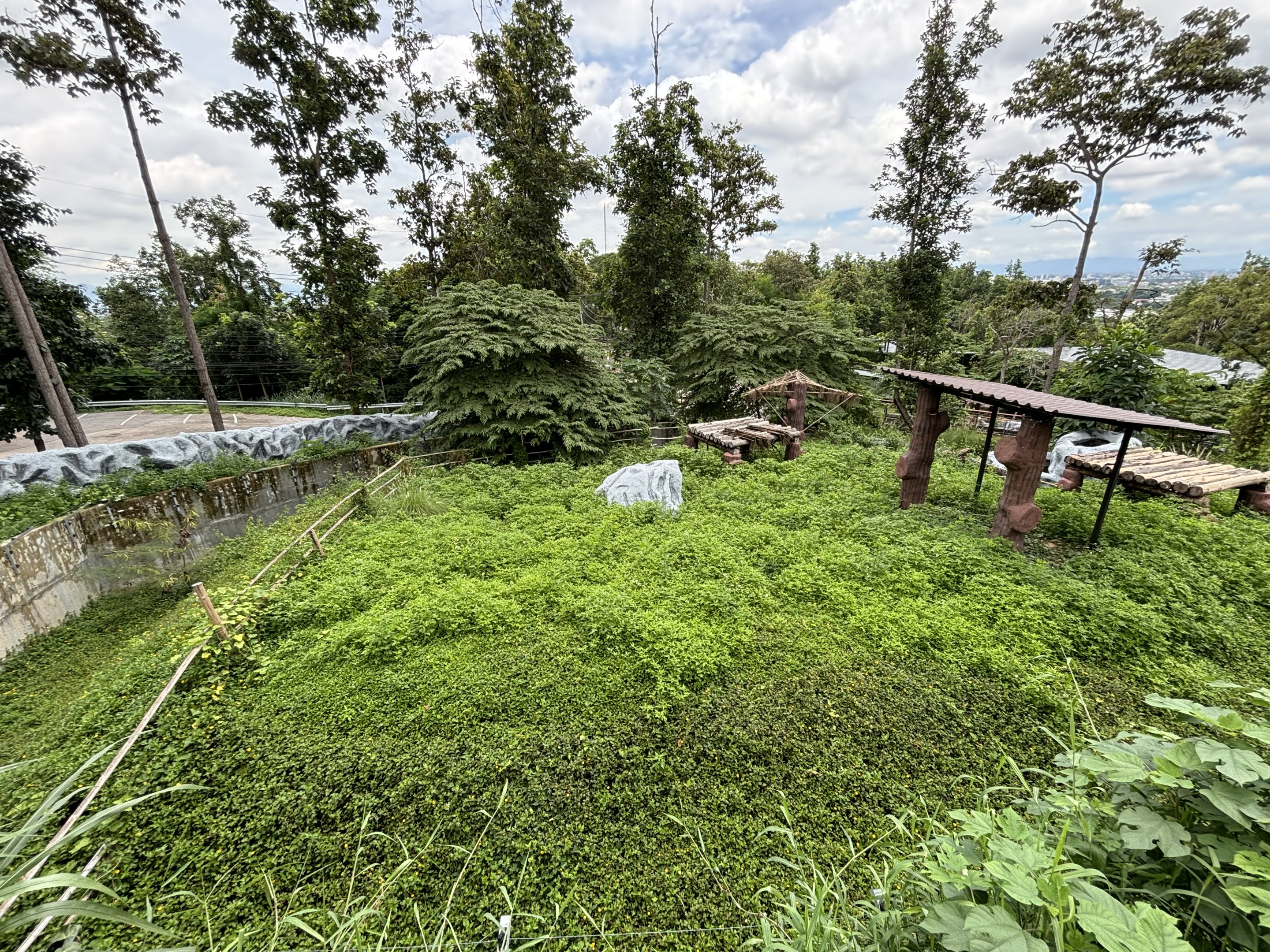 New Exhibit? - empty