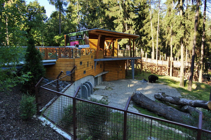 New exhibit for American Black Bears