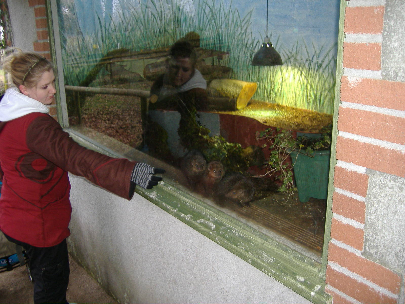 new exhibit for cuisamene(?) dartmor