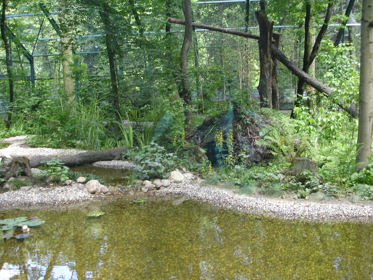 New exhibit for wildcats
