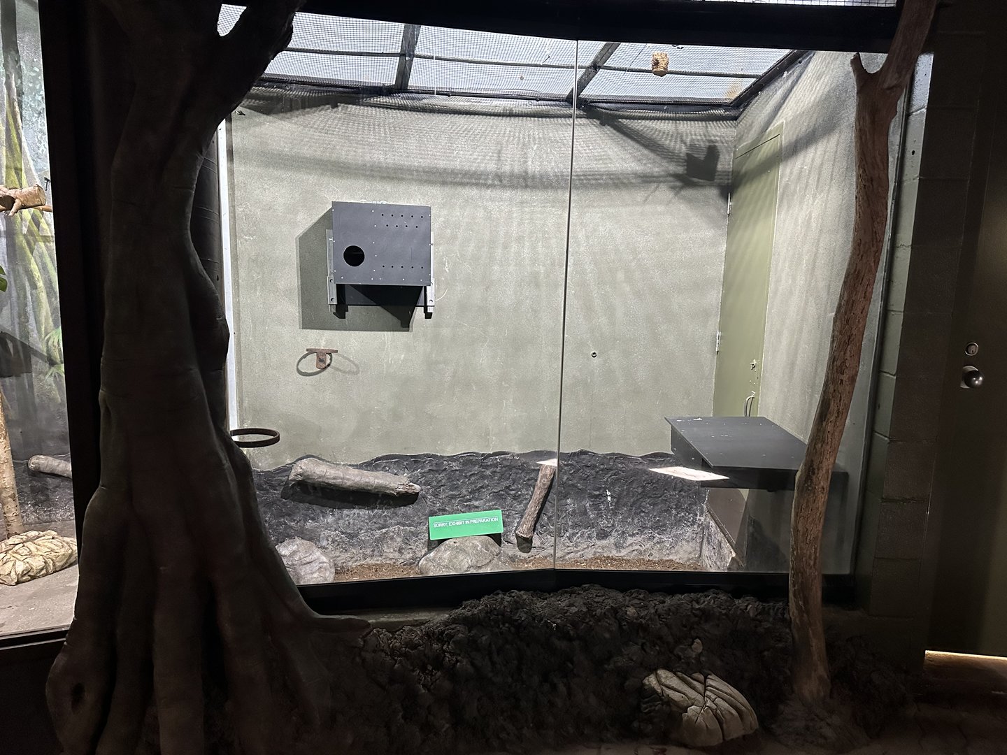 New Exhibit Getting Prepared for Someone