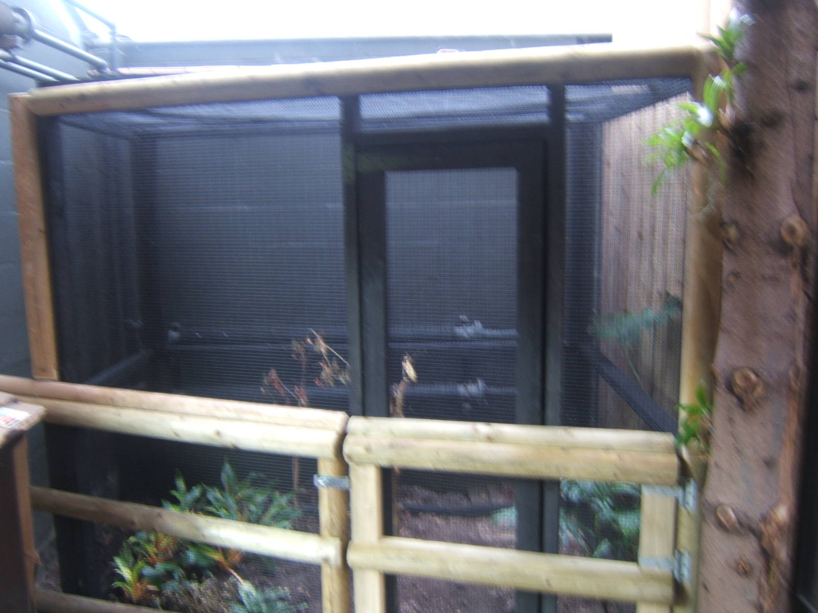 New exhibit in Butterfly House currently empty