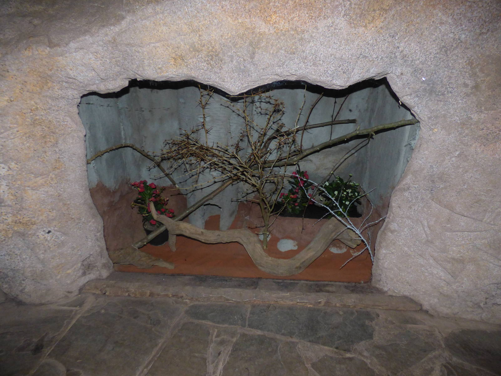 New exhibit in Fruit Bat Forest next to Tenerec enclosure