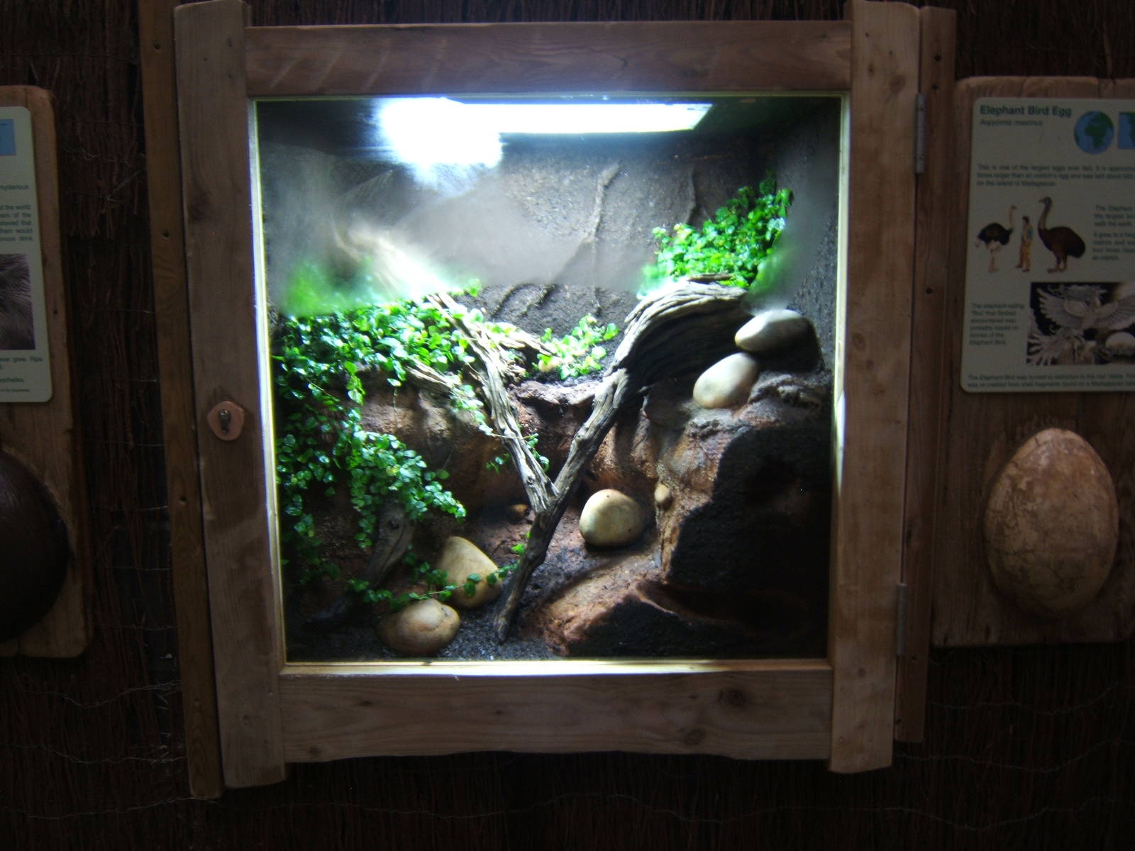 New exhibit in Islands in Danger