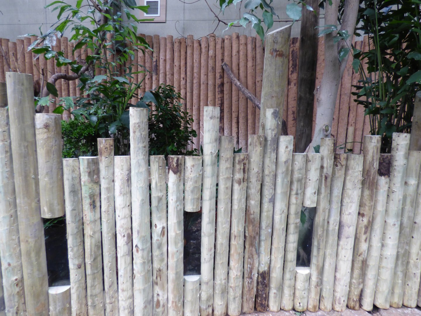 New Exhibit in Tropical Realm