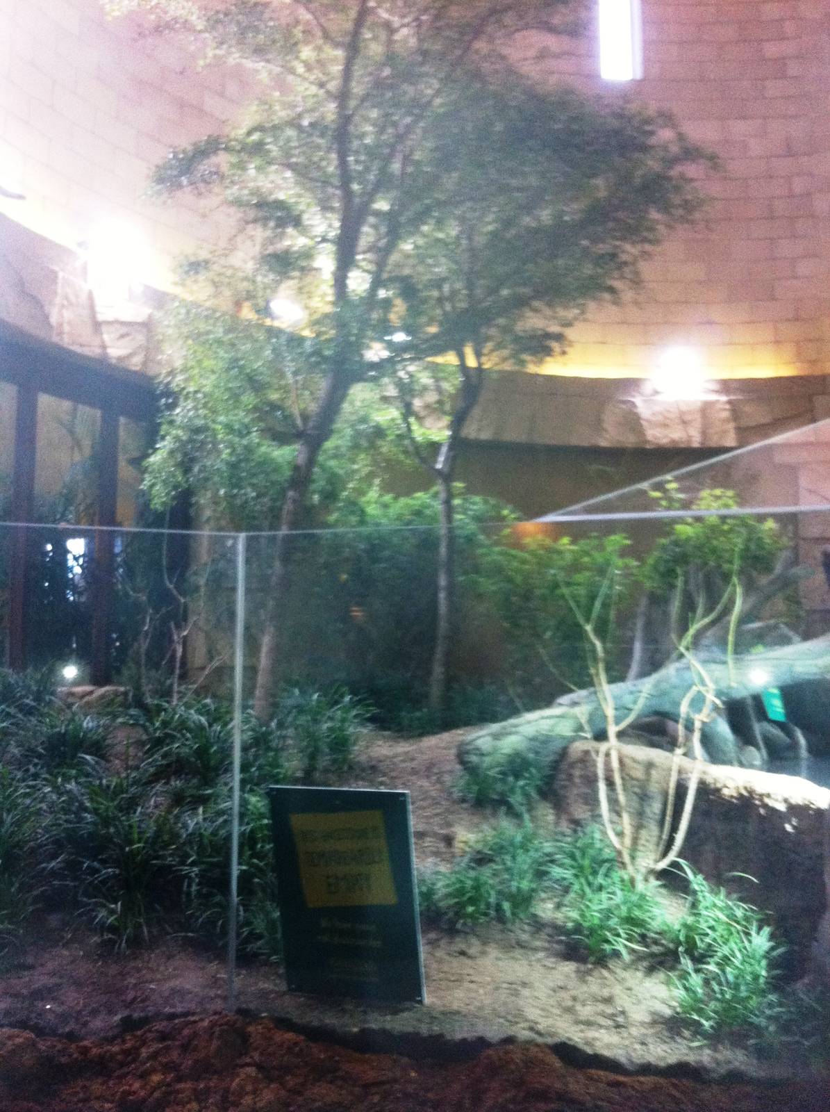 New Exhibit Jaguar House 27/12/11