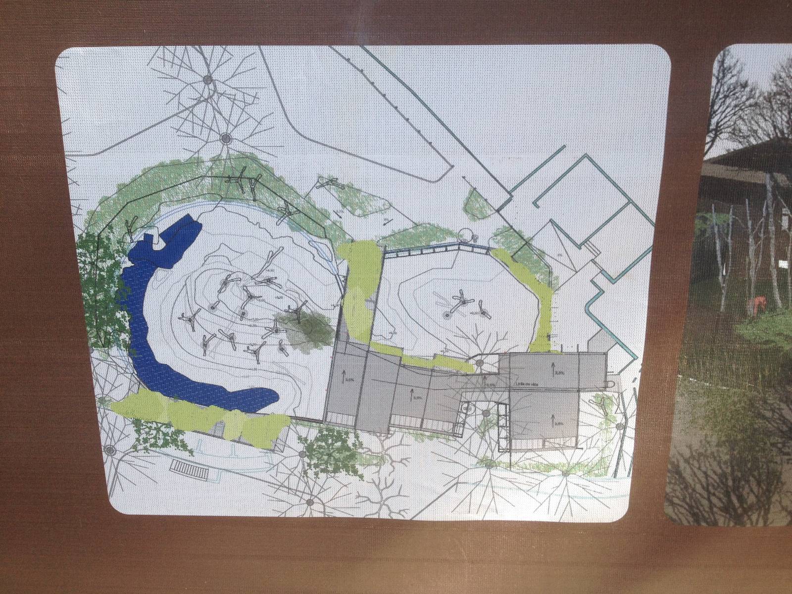 New exhibit plan for Orangutan