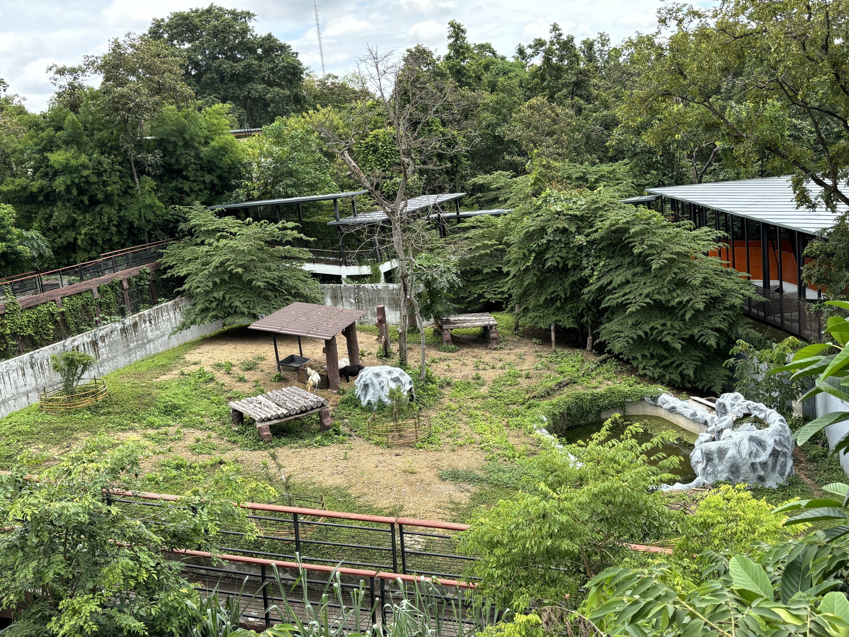 New Exhibit? - ponies