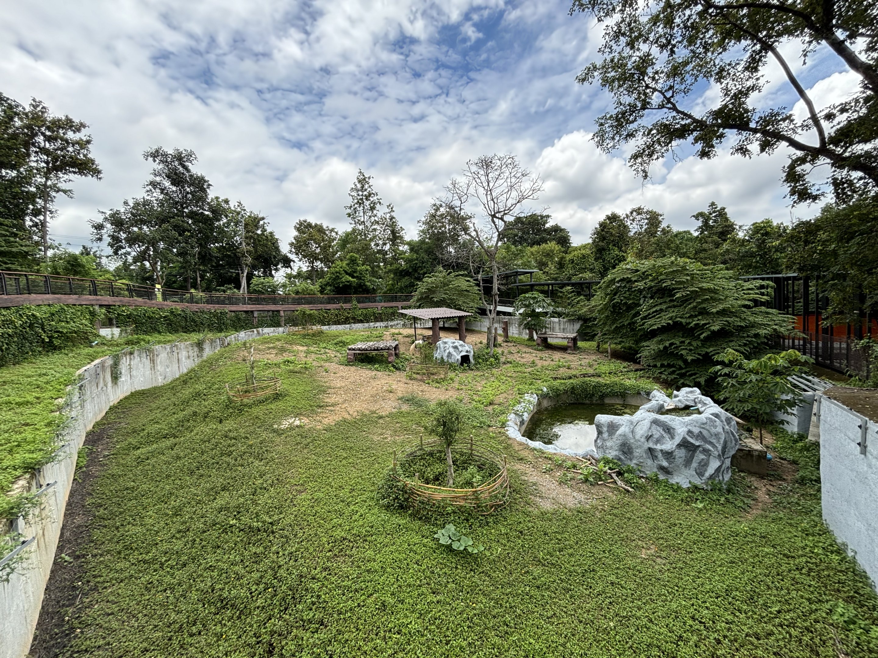 New Exhibit? - ponies