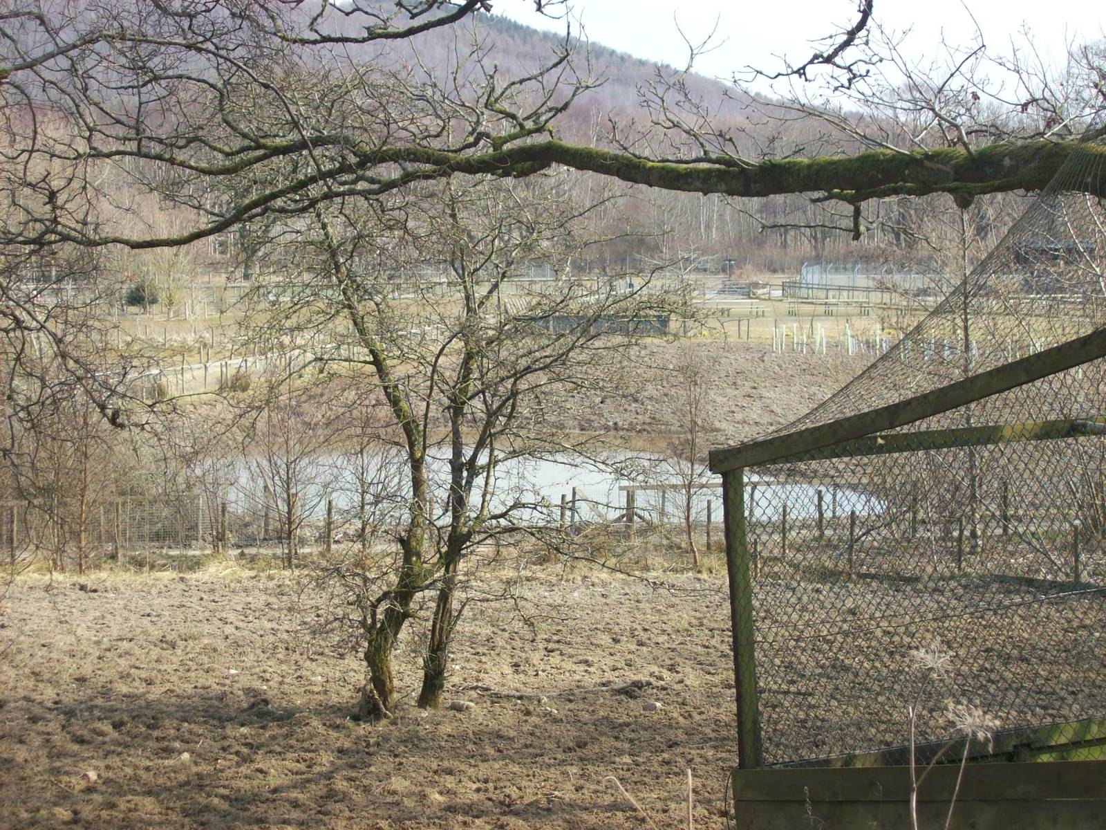 New exhibit under construction