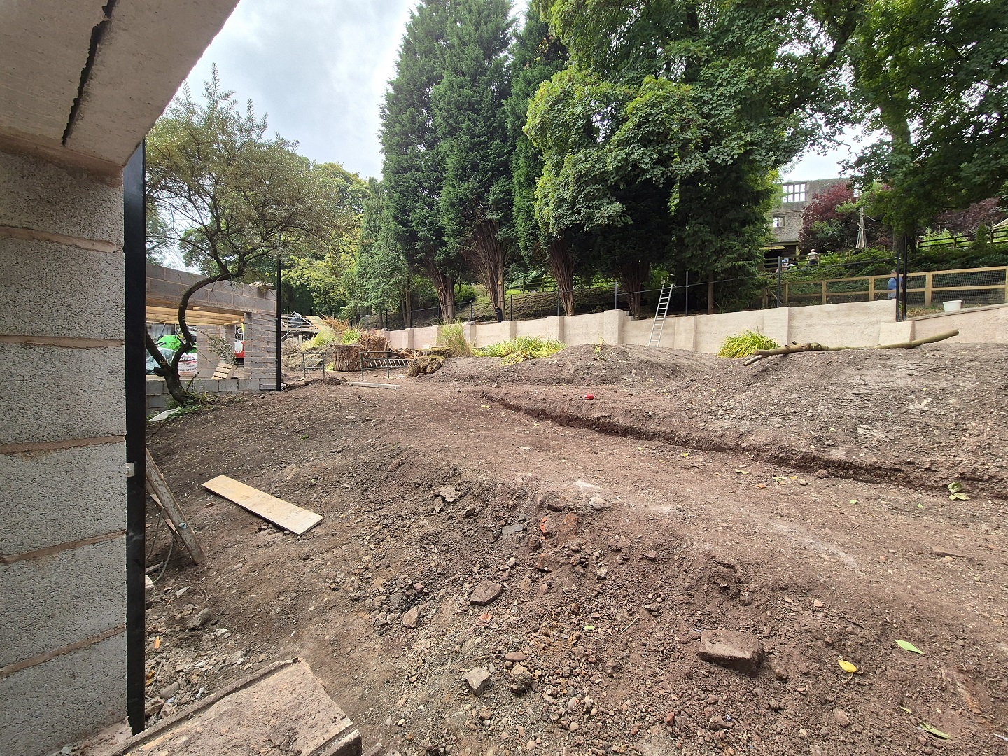 New exhibit under construction.