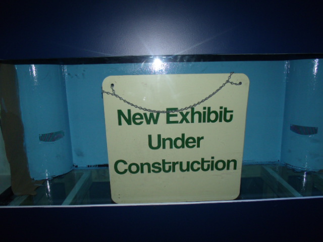 New Exhibit