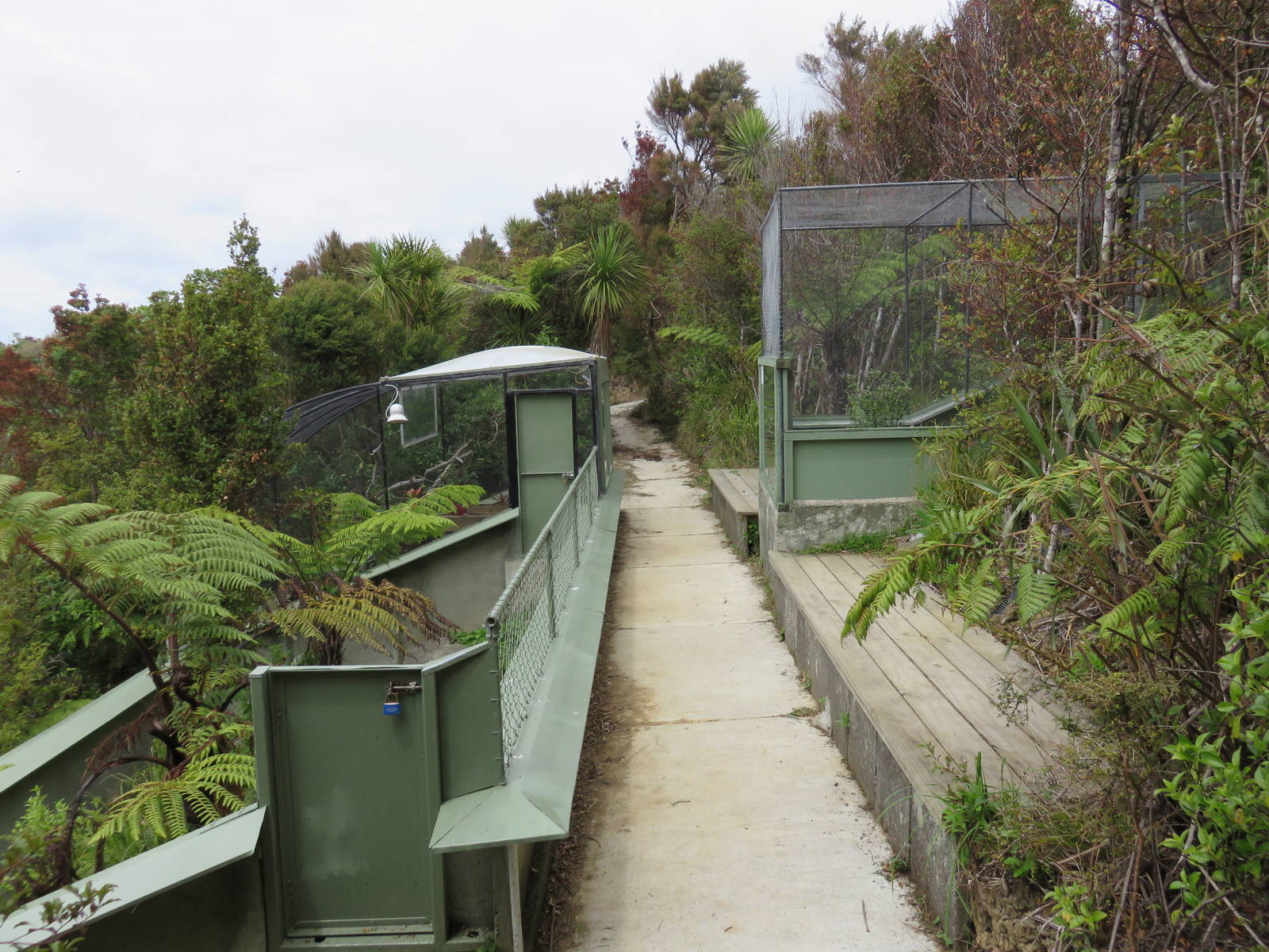 New Exhibits at Ti Point Reptile Park